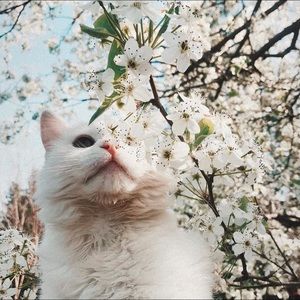 Meet your Posher, Linda